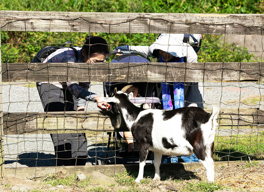 ふれあい牧場