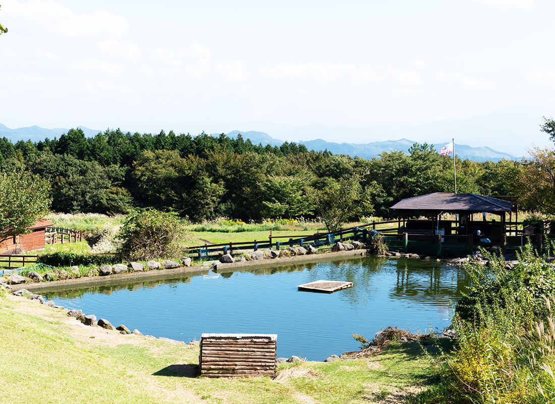 心水の池