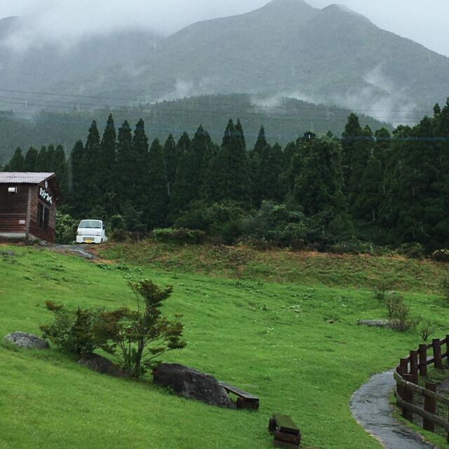こんにちは🤗
今日の久住は相変わらずの雨です。もぅ何日降り続いているのだろうか？と思うくらい…。
気がつけば夏休みもあとわずかだし、お盆も終わったし、なんだか肌寒いし…😥
雨がやんだらもぅ秋なんて事も。
雨が降ると霧も出て、真っ白で何も見えない時もありますよ。
山の天気は変わりやすいけど、今回ばかりはずっとずっと雨☔️。
久住山も雲に隠れたっきりです。

こんな日でも動物たちは変わらずデス。牛さんも山羊さんも脚を泥んこにして草を食べてます‼️
鴨たちはいつもと同じ、水の上…でも数匹の鴨は…金網のギリギリのところを探検してました。
わちゃわちゃ、クワックワッ🦆
で…気がつくとだいたいの鴨ちゃんがこっちへ大移動⁉️
探検より食い気の方でした。
エサ持ってないよ〜って逃げました😅💦えへへ❗️

早くやまないかなぁ、雨☔️‼️
動物達も私も願いは同じ🤲。今週末過ぎには晴れマーク☀️ついてた気がするけどーホントかなぁ⁇

この雨の中、お越しくださる方もいらっしゃいます。ありがとうございます。十分気をつけてお越しくださいね。😊

最後に、この大雨で被害に遭われた方々へお見舞い申し上げます。

#ガンジー牧場
#ふれあい牧場
#牛と山羊
#カモ
#雨