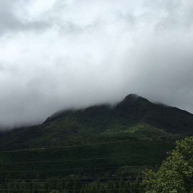 こんにちは🤗ガンジー牧場です。今日はなんだか不思議なお天気です。山の上の方は何やら雲がかかり雨でも降りそうな感じ…でもこのまま曇で行けそうです。風も強いし飛ばされそうです。なんて飛びませんけど…😤

あれよあれよという間に夏休みも終わりそうです。子供の頃、この時期ギリギリまで宿題で追い込まれていたなぁと…そしてそれはDNAとして我が子も同じく❕
笑っちゃうなぁ😅
今日は久々にうさぎ🐰さんを見てガンジー牛に挨拶をして、山羊を横目に半周しました。うさぎ🐰はあのPeter Rabbitを思わせるようなお目々ぱちぱちのモフモフの…可愛い😍子たちばかりです。柵ギリギリにガンジー牛もいて、いつもは触れないけど頭をなでなで…。どの動物達も牧場の一員…アイドル的存在です。ずっと元気でいてほしい❣️直ぐ9月になり秋の気配がし始め、直ぐ寒くなります。動物達にも厳しい季節、寒いのが苦手な私にとって久住は地獄の様なところですが、今年もダウンジャケットで耐え忍びま〜す。まだ秋も来てないのに早すぎる⁉️（爆笑）

#ガンジー牧場
#ふれあい牧場
#ガンジー牛とうさぎと山羊
#山の天気
#夏休み
#宿題
#秋の気配
#山の冬