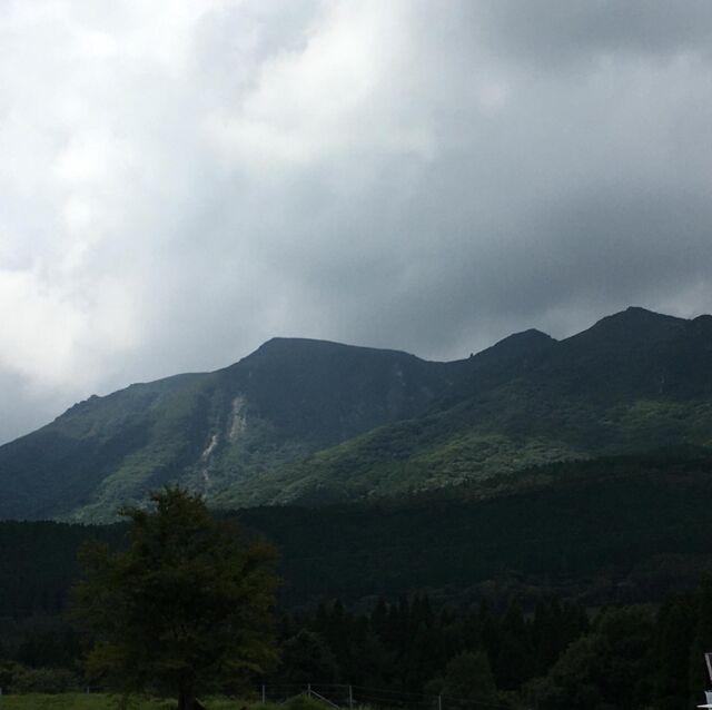 こんにちは🤗ガンジー牧場です。今日の久住はお天気よかったのですが、今少し雲が出てきました。土日はお天気が良くある意味夏を感じる事ができました。
近くでキャンプ🏕の方も多くて、賑わってましたよ。ほんとにコロナ禍なの⁉️って思うくらい（💦）

売店からふれあい牧場の方に行ける橋があるんですが、橋の手前の階段を今工事👷‍♂️をしています。
少しご不便をおかけしますが、宜しくお願いします🥺。
8月も明日で終わり、9月に突入します‼️益々久住は良い季節になります。大きな声では言えませんが、ちょっとした気晴らしや気分転換にドライブ🚙に来ませんか❓密にならない様、ソーシャルディスタンスで、ワクチン打って、マスクして、除菌剤持って…
久住に来てくれると嬉しいです😆♪。
久住で会いましょう❣️
待ってま〜す👋。

#ガンジー牧場
#ふれあい牧場
#通路工事中
#天気☀️
#9月
#コロナ対策